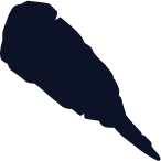 Weapon Slot